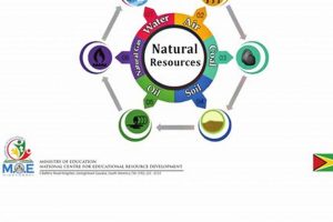 Revamping Social Studies: Curriculum Envisions &amp; Future | Study Travel Abroad | Explore Educational Trips & Global Learning Opportunities