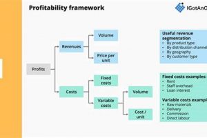 Best Case Study Frameworks: Templates & Examples | Study Travel Abroad | Explore Educational Trips & Global Learning Opportunities