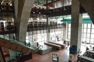 Best Places to Study in San Diego: Your Study Spot Guide | Study Travel Abroad | Explore Educational Trips & Global Learning Opportunities