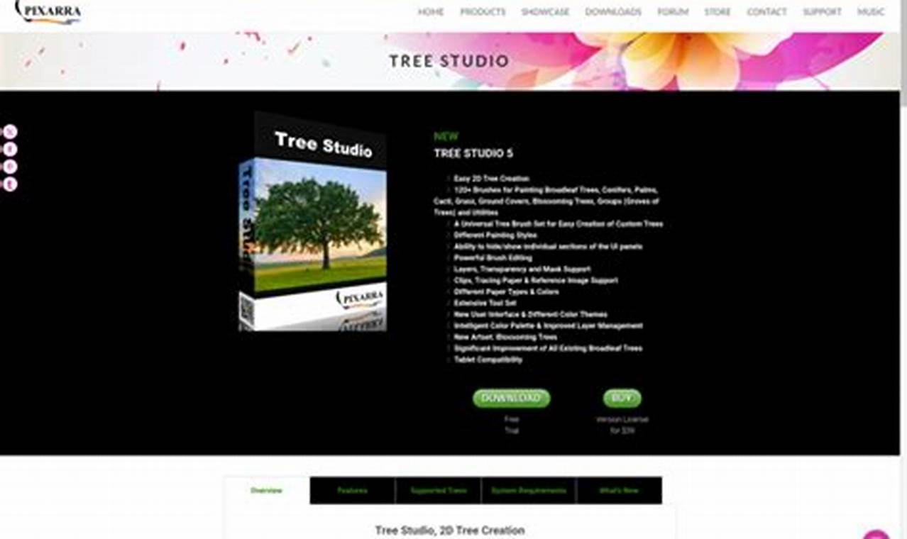 Design Your Tree Studio: Ideas & Inspiration | Study Travel Abroad | Explore Educational Trips & Global Learning Opportunities