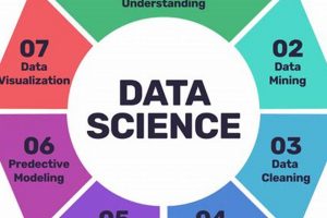 Real-World: Data Science Case Study Examples & Impact | Study Travel Abroad | Explore Educational Trips & Global Learning Opportunities