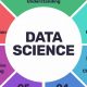 Real-World: Data Science Case Study Examples & Impact | Study Travel Abroad | Explore Educational Trips & Global Learning Opportunities