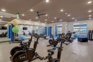 Best Spin Studio Las Vegas: Cycle Your Way to Fitness! | Study Travel Abroad | Explore Educational Trips & Global Learning Opportunities