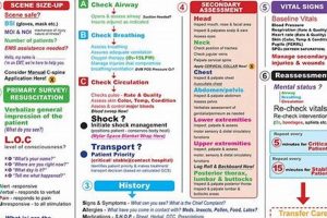 EMT Exam Prep: Google Sheet Study Guide Secrets Unlocked! | Study Travel Abroad | Explore Educational Trips & Global Learning Opportunities