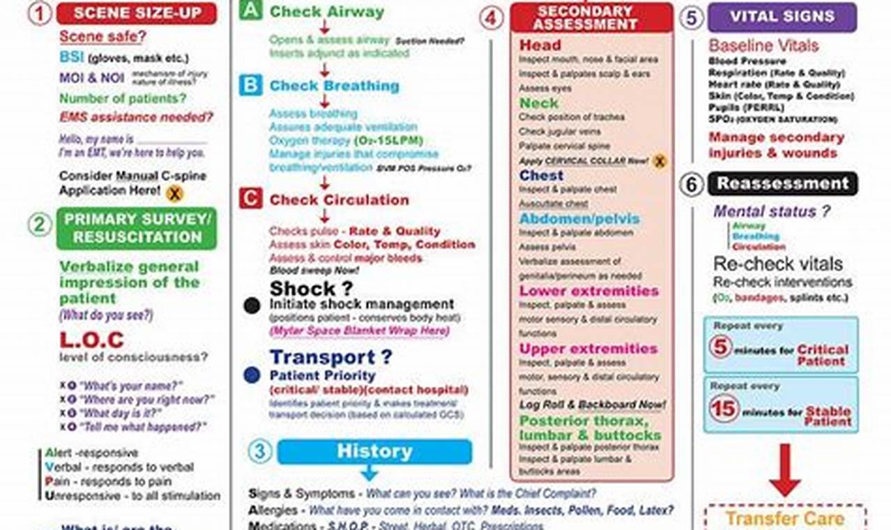 EMT Exam Prep: Google Sheet Study Guide Secrets Unlocked! | Study Travel Abroad | Explore Educational Trips & Global Learning Opportunities