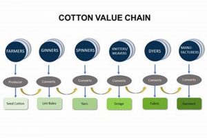 Gherzi's Cotton Value Chain Study: Boost Development | Study Travel Abroad | Explore Educational Trips & Global Learning Opportunities