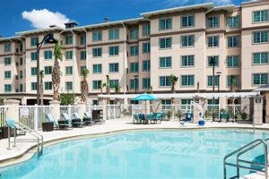 Best Pet Friendly Hotels Near Universal Studios (Deals Inside!) | Study Travel Abroad | Explore Educational Trips & Global Learning Opportunities