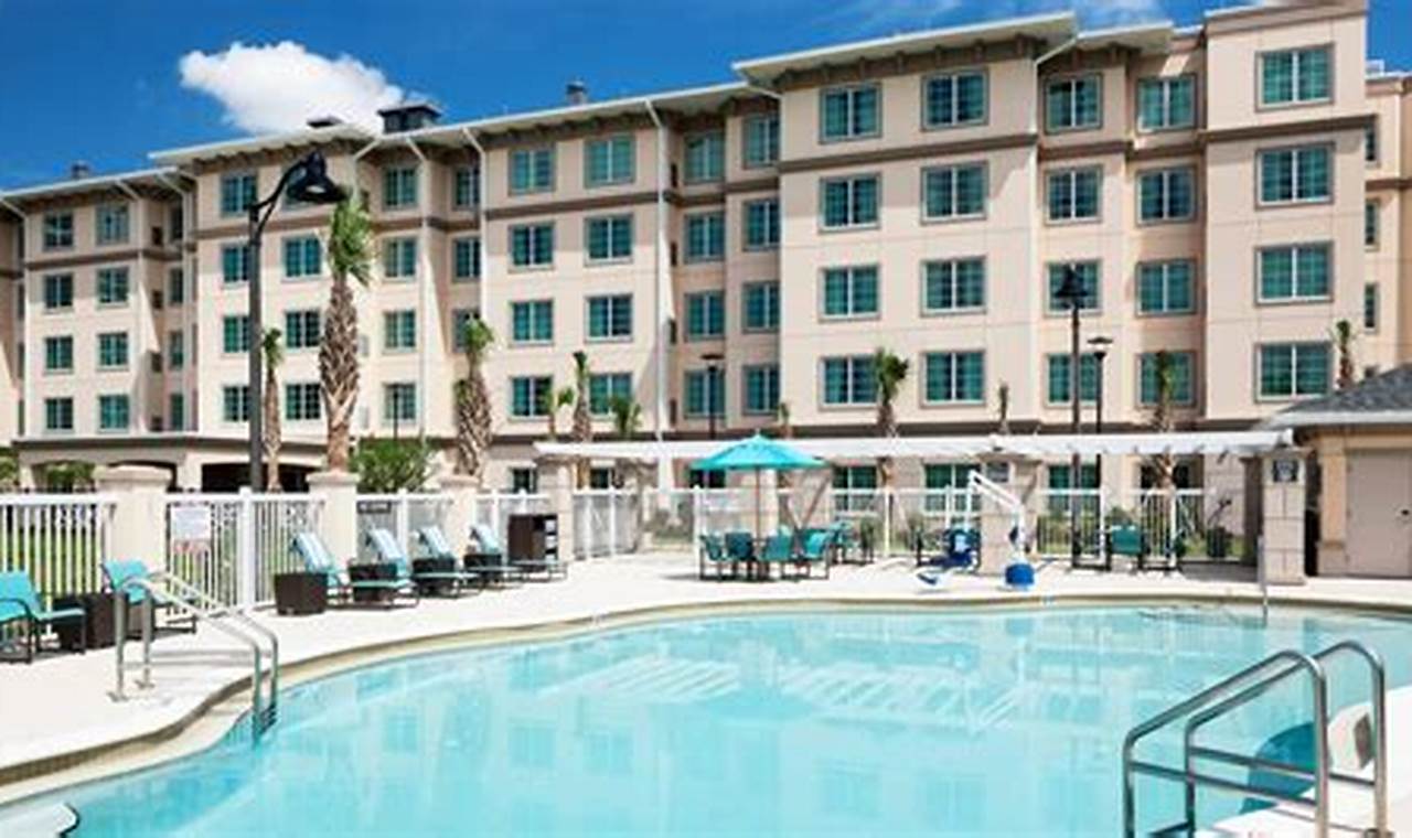 Best Pet Friendly Hotels Near Universal Studios (Deals Inside!) | Study Travel Abroad | Explore Educational Trips & Global Learning Opportunities