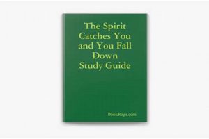 Your Spirit Catches You Study Guide: Analysis & More | Study Travel Abroad | Explore Educational Trips & Global Learning Opportunities