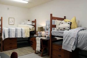 Best UCO Study Rooms: Find & Reserve Your Space! | Study Travel Abroad | Explore Educational Trips & Global Learning Opportunities