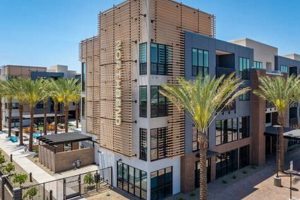 Find Cheap Studios for Rent in Tempe, AZ: Your Guide | Study Travel Abroad | Explore Educational Trips & Global Learning Opportunities