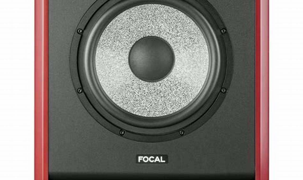 Enhance Your Studio: Focal Studio Subwoofers Review & Setup | Study Travel Abroad | Explore Educational Trips & Global Learning Opportunities