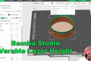 Bambu Studio: Infill Angle for Perfect Prints! | Study Travel Abroad | Explore Educational Trips & Global Learning Opportunities