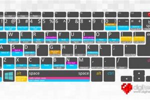 Master Clip Studio Paint Hotkeys: A Quick Guide | Study Travel Abroad | Explore Educational Trips & Global Learning Opportunities