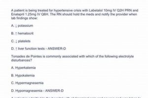 Ace the PCCN: Practice PCCN Study Questions + Exam Tips! | Study Travel Abroad | Explore Educational Trips & Global Learning Opportunities