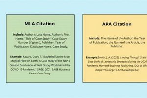 APA Case Studies: Referencing Guide & Examples | Study Travel Abroad | Explore Educational Trips & Global Learning Opportunities