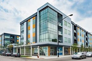 Find Your Ideal Studio Apartments Logan Square Chicago Oasis! | Study Travel Abroad | Explore Educational Trips & Global Learning Opportunities