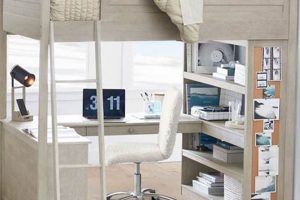 Study Smarter: Sleep & Study Loft Bed Benefits! | Study Travel Abroad | Explore Educational Trips & Global Learning Opportunities