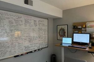 Best White Board for Study [Guide & Tips] | Study Travel Abroad | Explore Educational Trips & Global Learning Opportunities