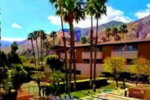 Find Your Perfect Studio for Rent in Palm Springs Oasis! | Study Travel Abroad | Explore Educational Trips & Global Learning Opportunities