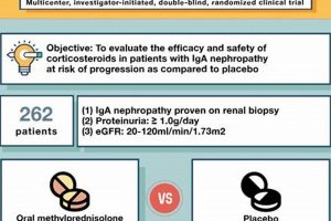 MM-120 Study: When Will Testing Be Available? | Updates | Study Travel Abroad | Explore Educational Trips & Global Learning Opportunities