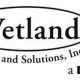 Why Wetland Studies & Solutions Matter: Conservation Tips | Study Travel Abroad | Explore Educational Trips & Global Learning Opportunities