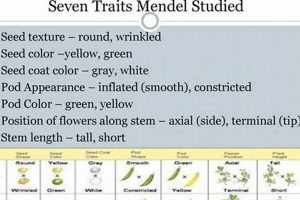 Mendel's Pea Plants: Genetics Study Explained [NYT] | Study Travel Abroad | Explore Educational Trips & Global Learning Opportunities
