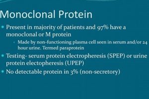 Understanding: Monoclonal Protein Study Analysis Study Travel Abroad | Explore Educational Trips & Global Learning Opportunities Understanding: Monoclonal Protein Study Analysis | Study Travel Abroad | Explore Educational Trips & Global Learning Opportunities