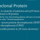Understanding: Monoclonal Protein Study Analysis | Study Travel Abroad | Explore Educational Trips & Global Learning Opportunities