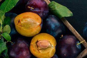 Unlocking Universal: Employee Benefits & Perks! Study Travel Abroad | Explore Educational Trips & Global Learning Opportunities Unlocking Universal: Employee Benefits & Perks! | Study Travel Abroad | Explore Educational Trips & Global Learning Opportunities