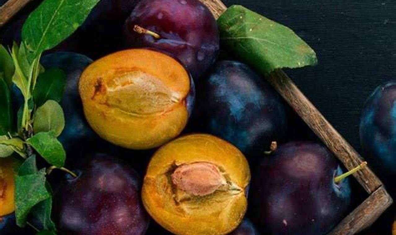 Unlocking Universal: Employee Benefits & Perks! | Study Travel Abroad | Explore Educational Trips & Global Learning Opportunities