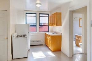 Find Your Perfect Studio for Rent in Long Island, NY Today! | Study Travel Abroad | Explore Educational Trips & Global Learning Opportunities