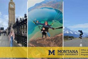 Your Guide: Montana State Study Abroad Programs & Benefits | Study Travel Abroad | Explore Educational Trips & Global Learning Opportunities
