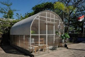 Enhance Ins Studio Setup: Tips &amp; Tricks | Study Travel Abroad | Explore Educational Trips & Global Learning Opportunities