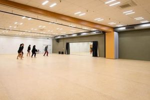 Discover [Your City] Performing Arts Studio | Classes & More | Study Travel Abroad | Explore Educational Trips & Global Learning Opportunities