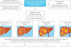 HCC Work Study Guide: Your College Job Awaits! Study Travel Abroad | Explore Educational Trips & Global Learning Opportunities HCC Work Study Guide: Your College Job Awaits! | Study Travel Abroad | Explore Educational Trips & Global Learning Opportunities