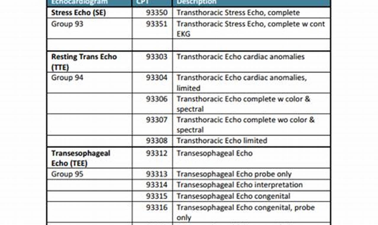 Understanding the Echo Bubble Study CPT Code: A Guide Study Travel Abroad | Explore Educational Trips & Global Learning Opportunities Understanding the Echo Bubble Study CPT Code: A Guide | Study Travel Abroad | Explore Educational Trips & Global Learning Opportunities