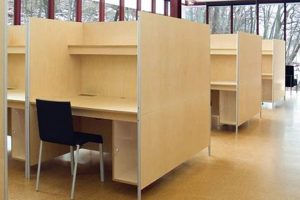 Maximize Your Study: Study Carrel UMD Guide & Tips | Study Travel Abroad | Explore Educational Trips & Global Learning Opportunities