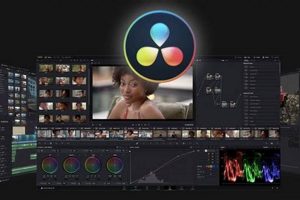 DaVinci Resolve Studio 19.0.0.33: A Deep Dive + Tips! | Study Travel Abroad | Explore Educational Trips & Global Learning Opportunities
