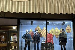 Elevate Your Workout: Studio Works Apparel You'll Love! | Study Travel Abroad | Explore Educational Trips & Global Learning Opportunities