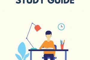Why I Need to Study in Spanish: Your Guide + Tips | Study Travel Abroad | Explore Educational Trips & Global Learning Opportunities