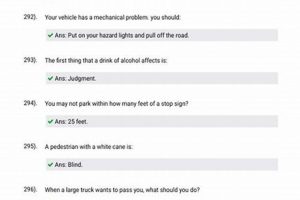 Prep for Your DMV Permit Test CT: A Study Guide 2024 | Study Travel Abroad | Explore Educational Trips & Global Learning Opportunities