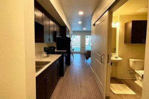 Find Your Studio: Santa Maria Studios for Rent & More Study Travel Abroad | Explore Educational Trips & Global Learning Opportunities Find Your Studio: Santa Maria Studios for Rent & More | Study Travel Abroad | Explore Educational Trips & Global Learning Opportunities