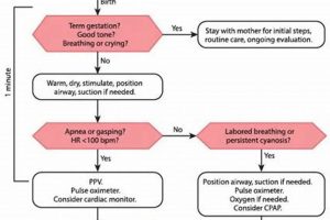 Best NRP Study Guide 2024: Ace the NRP Exam! Study Travel Abroad | Explore Educational Trips & Global Learning Opportunities Best NRP Study Guide 2024: Ace the NRP Exam! | Study Travel Abroad | Explore Educational Trips & Global Learning Opportunities