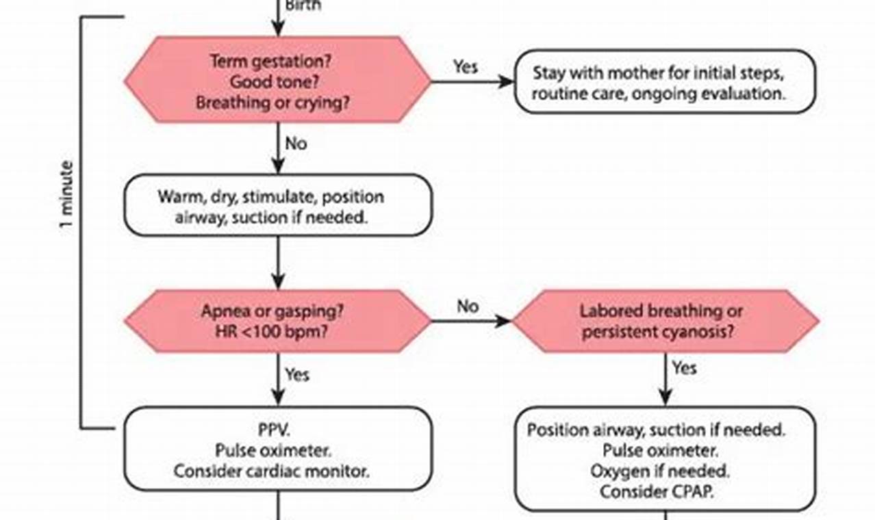 Best NRP Study Guide 2024: Ace the NRP Exam! Study Travel Abroad | Explore Educational Trips & Global Learning Opportunities Best NRP Study Guide 2024: Ace the NRP Exam! | Study Travel Abroad | Explore Educational Trips & Global Learning Opportunities