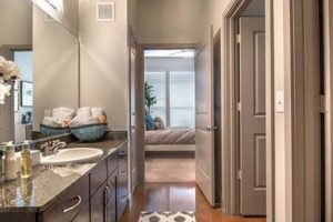 Find Affordable Studio Apartments Dallas Under $800 (Deals!) | Study Travel Abroad | Explore Educational Trips & Global Learning Opportunities