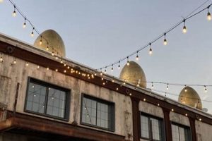 Discover Equinox Studios Seattle: Art & Community | Study Travel Abroad | Explore Educational Trips & Global Learning Opportunities