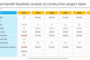 Understanding Feasibility Study Cost: Factors & Guide | Study Travel Abroad | Explore Educational Trips & Global Learning Opportunities