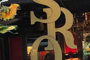 Affordable SRO Studio: Your Compact Living Guide | Study Travel Abroad | Explore Educational Trips & Global Learning Opportunities