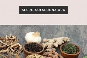 Beginner's Herbology for Home Study Guide Now | Study Travel Abroad | Explore Educational Trips & Global Learning Opportunities